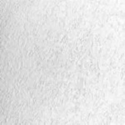 Elite Motion Arctic White