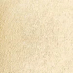 Elite Motion Sand Beach